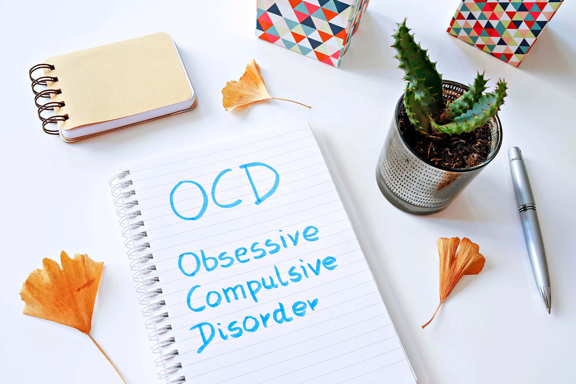 Open notebook with OCD written among autumn leaves and cactus