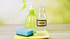 Natural cleaning products with vinegar, spray bottle, sponge on wooden table