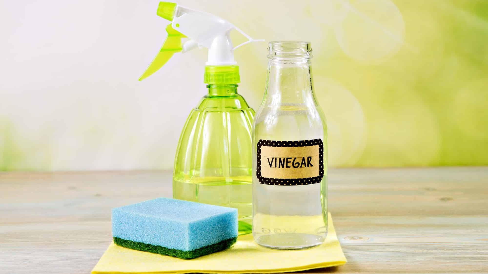 Natural cleaning products with vinegar, spray bottle, sponge on wooden table
