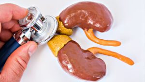 Adrenal glands on kidneys with sthescope