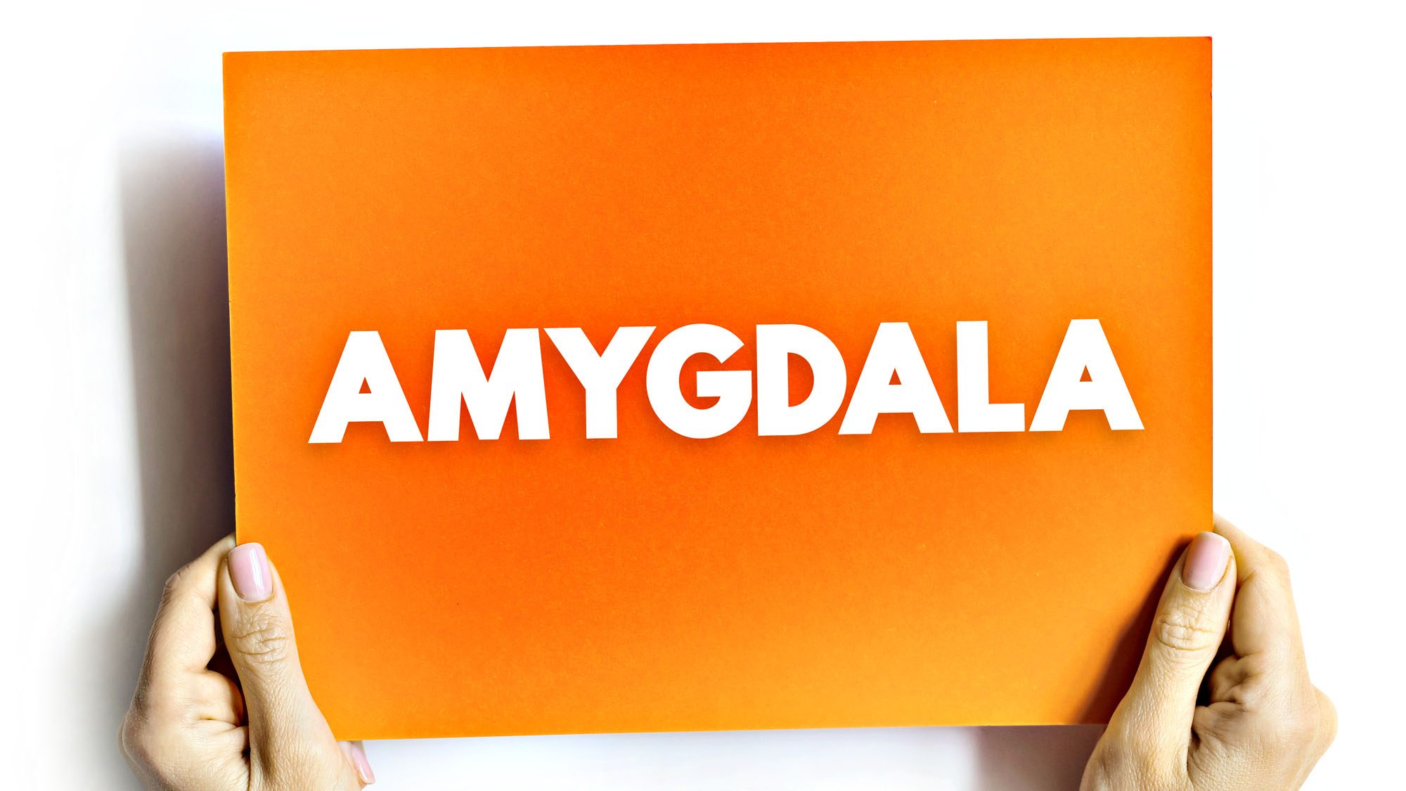 Hands holding orange sheet with 'AMYGDALA' in bold white letters