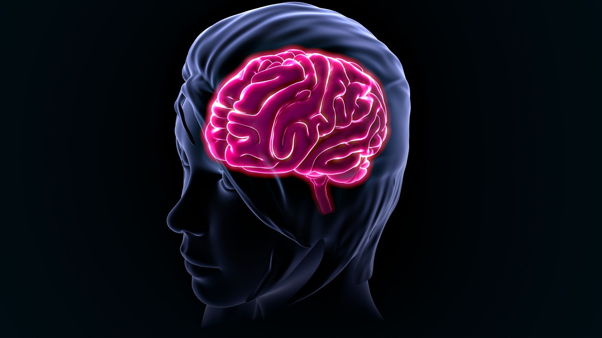 3D illustration of a human head with a glowing brain