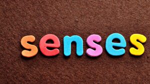 Colourful letters spelling 'senses' on textured brown background